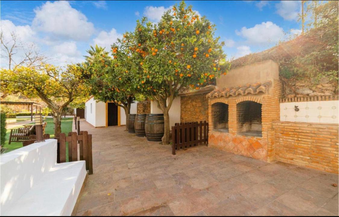 Cortijo Andaluz Dona Adela Affittacamere Almería Esterno foto