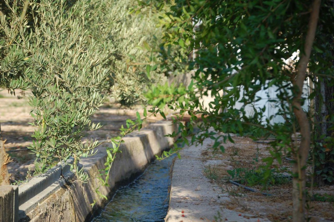 Cortijo Andaluz Dona Adela Affittacamere Almería Esterno foto